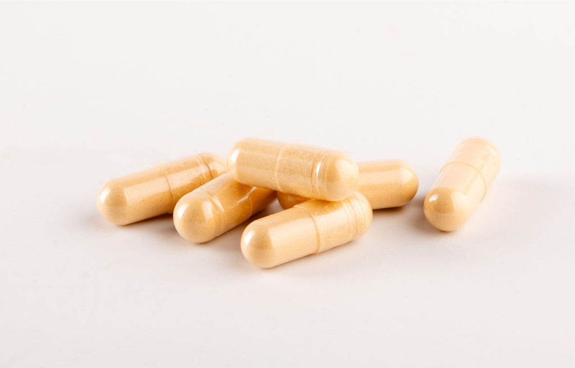 NOOTROPICS CAPSULES cordyceps and ginseng